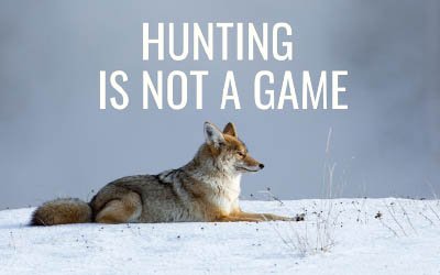 The Joy of Hunting and All Its Rationalizations